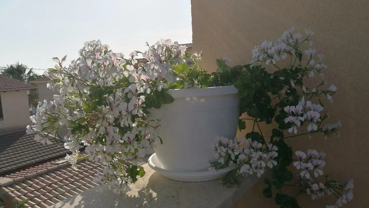 Villa Letizia San Leone Appartement