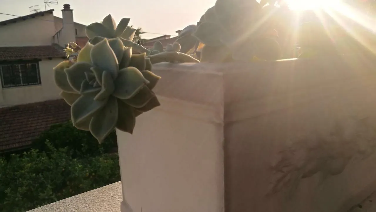 Villa Letizia San Leone Appartement